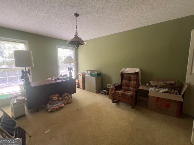 4118 Jefferson Township Parkway Marietta - 12