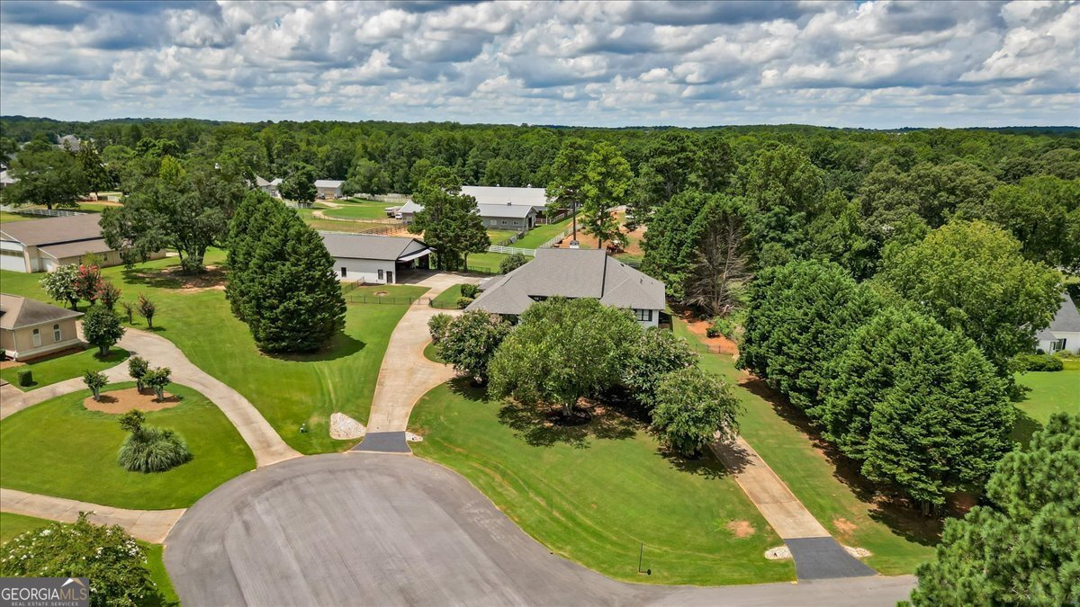 167 Pintail Way Locust Grove - 18