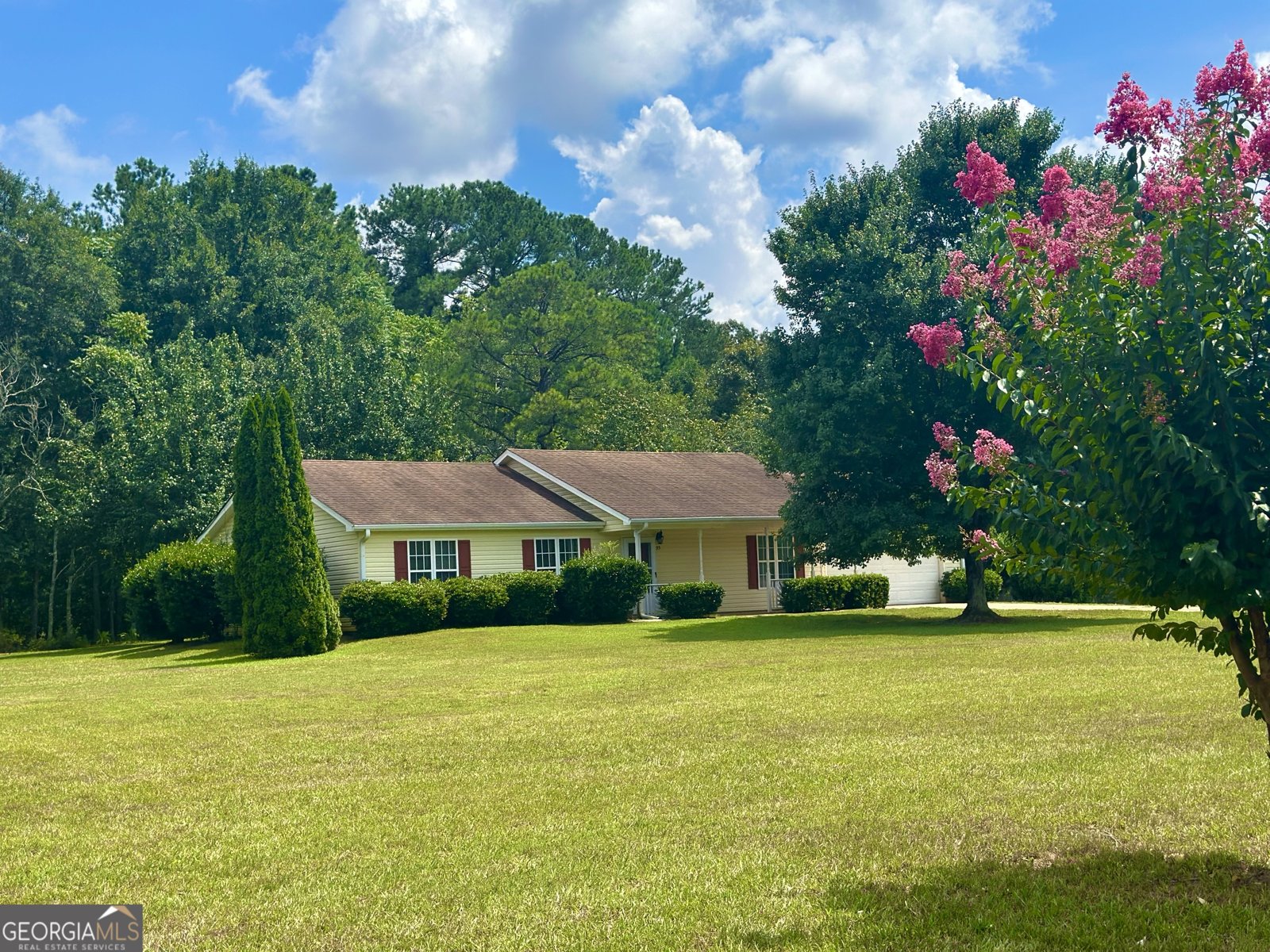 95 Meadows Road Newborn - 1