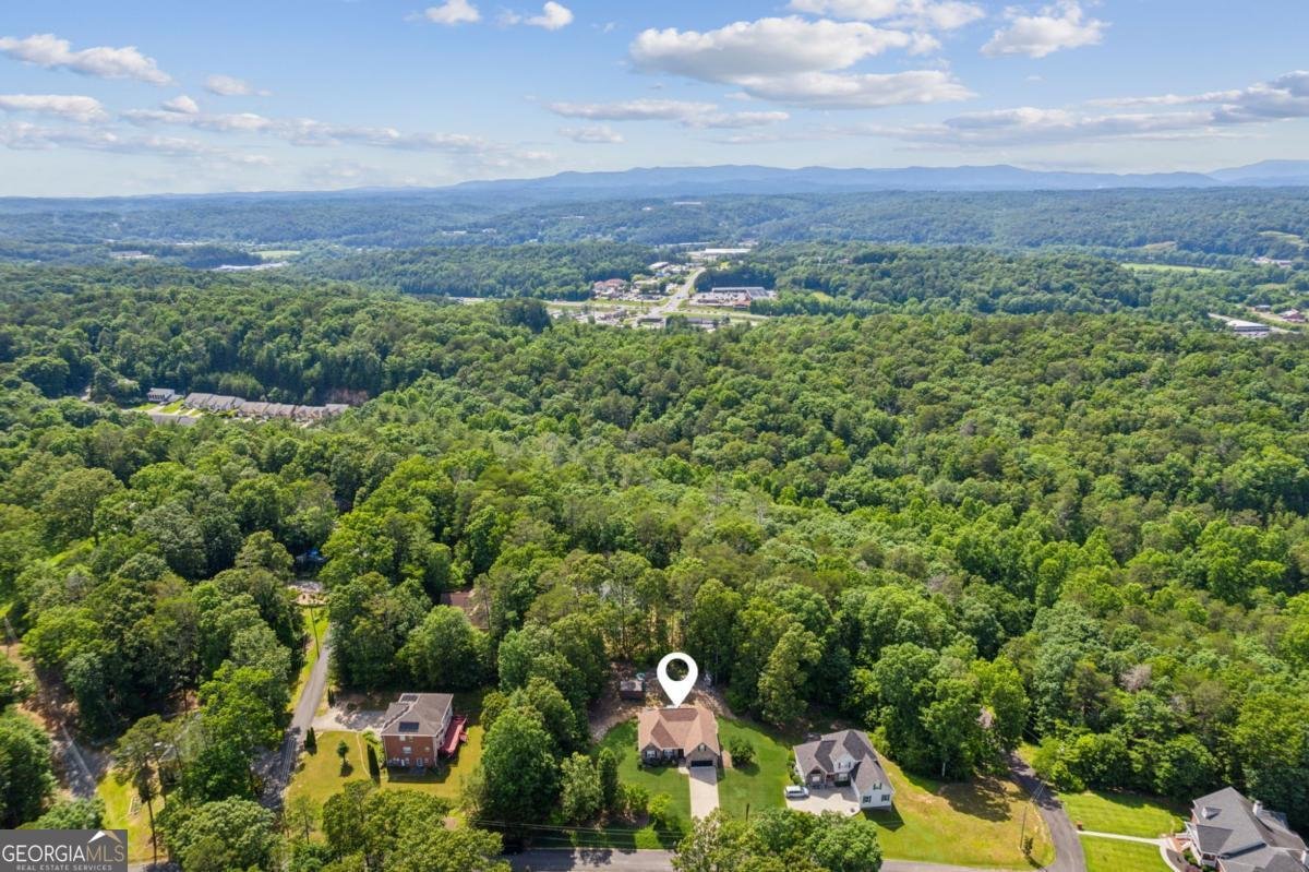 133 Whispering Oaks Drive Ellijay - 35
