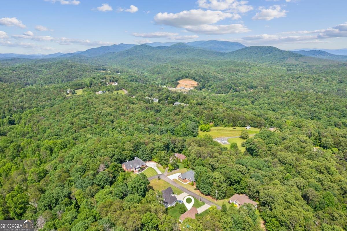 133 Whispering Oaks Drive Ellijay - 38