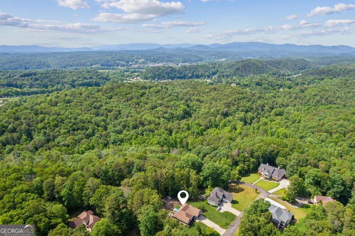 133 Whispering Oaks Drive Ellijay - 39