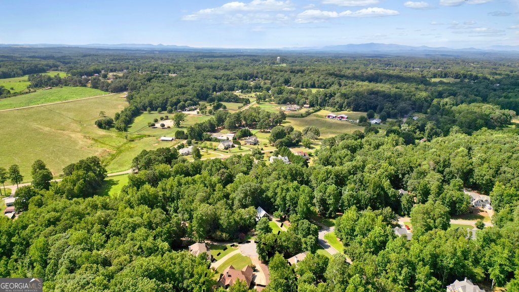 123 Birmingham Walk Alpharetta - 61