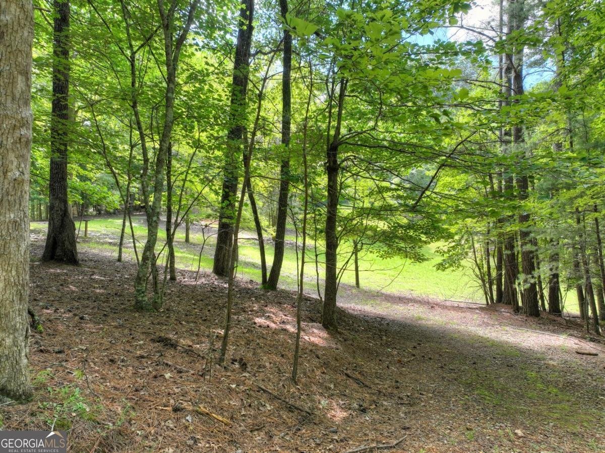88 Wagon Tracks Ridge Mineral Bluff - 22