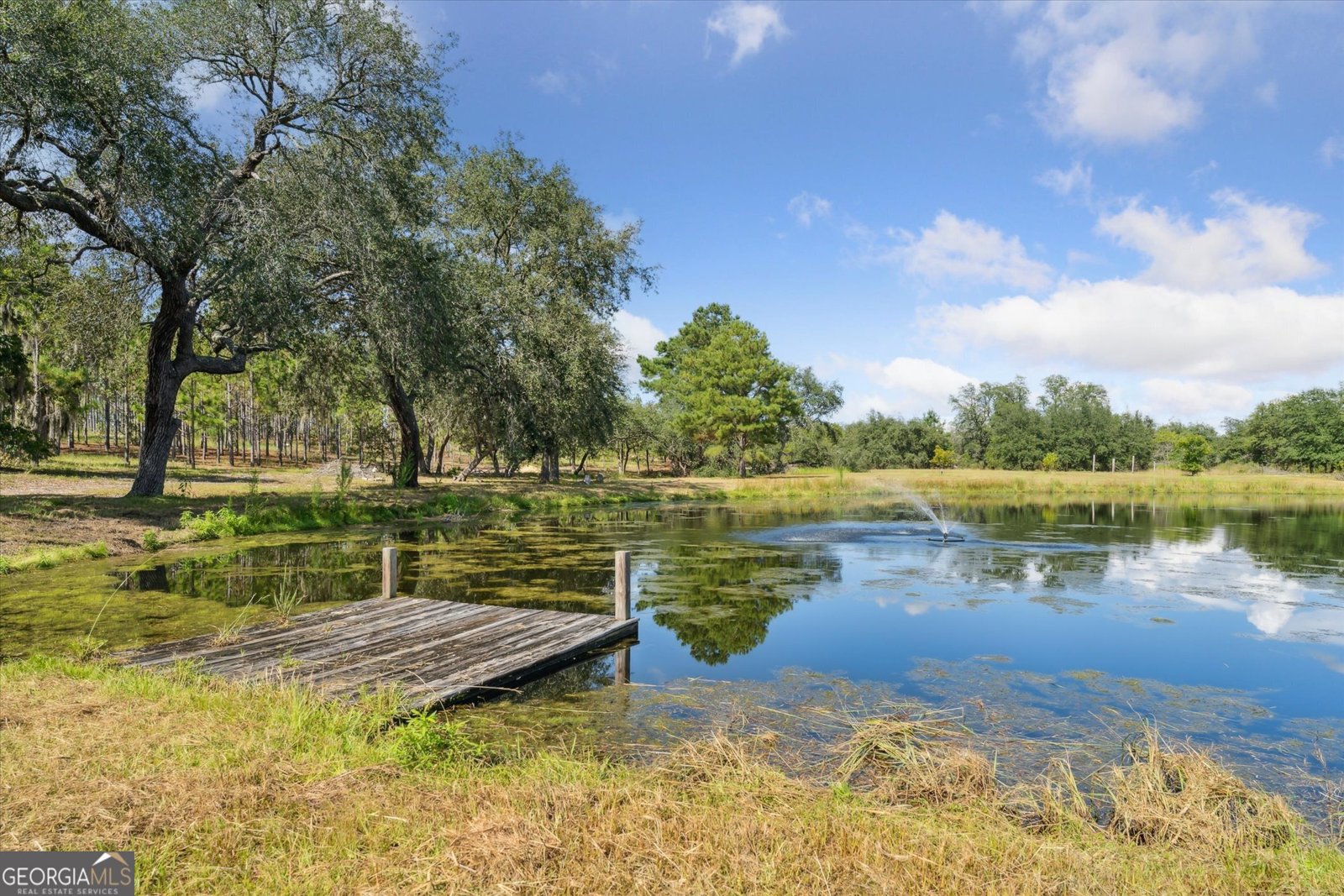 11257 Stillmore Highway Metter - 38