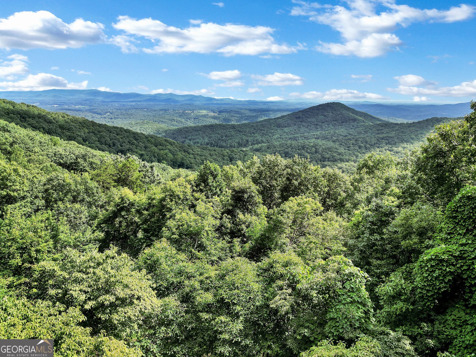 346 Walnut Ridge Ellijay - 40