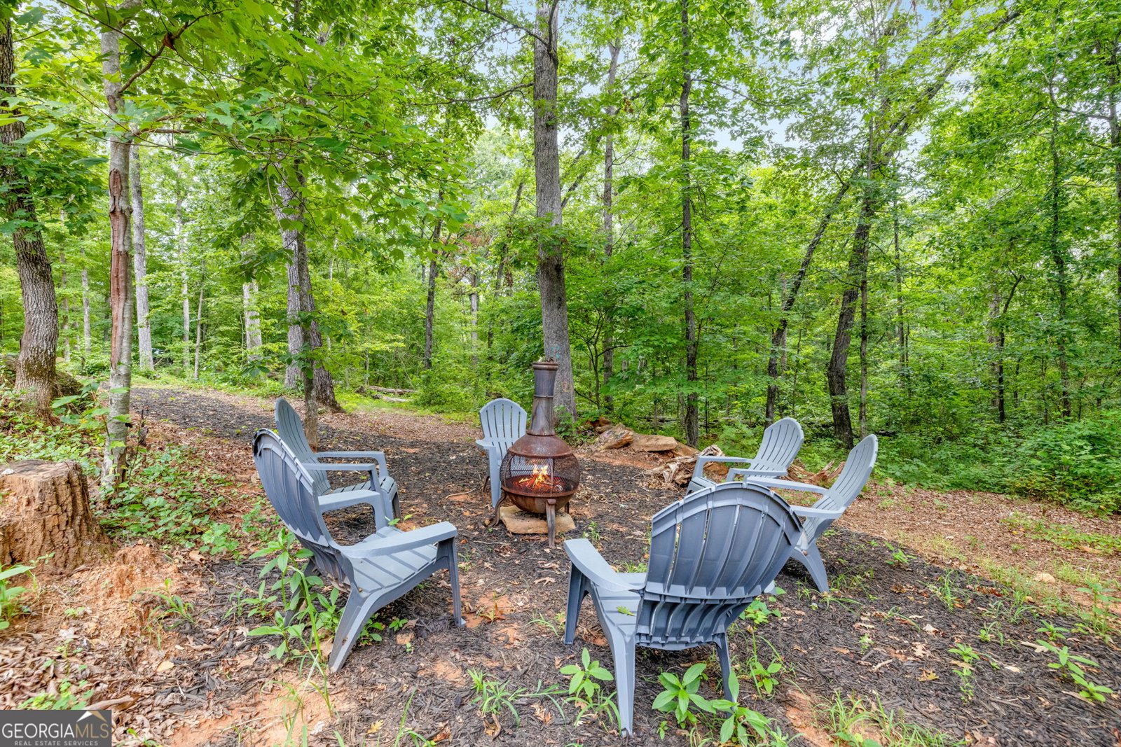 1280 Habersham Mills Demorest - 55