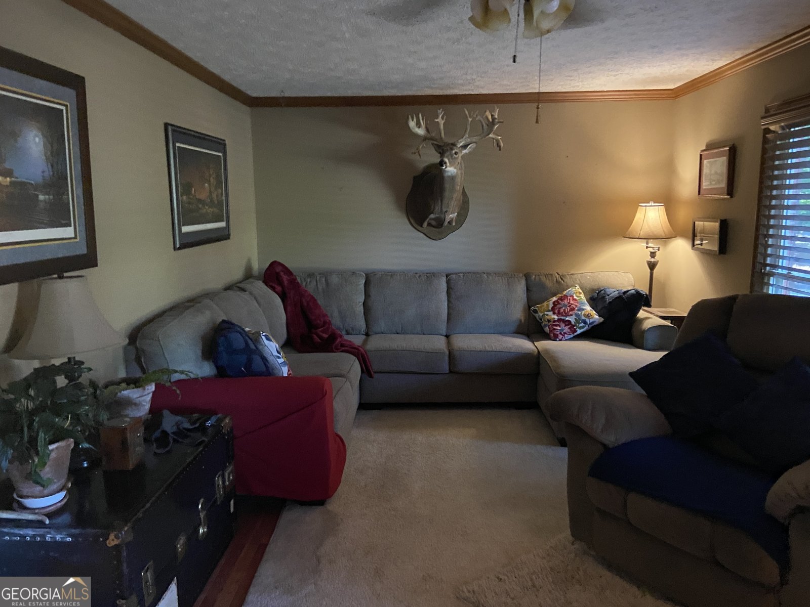 813 Lakeshore Drive Winder - 2