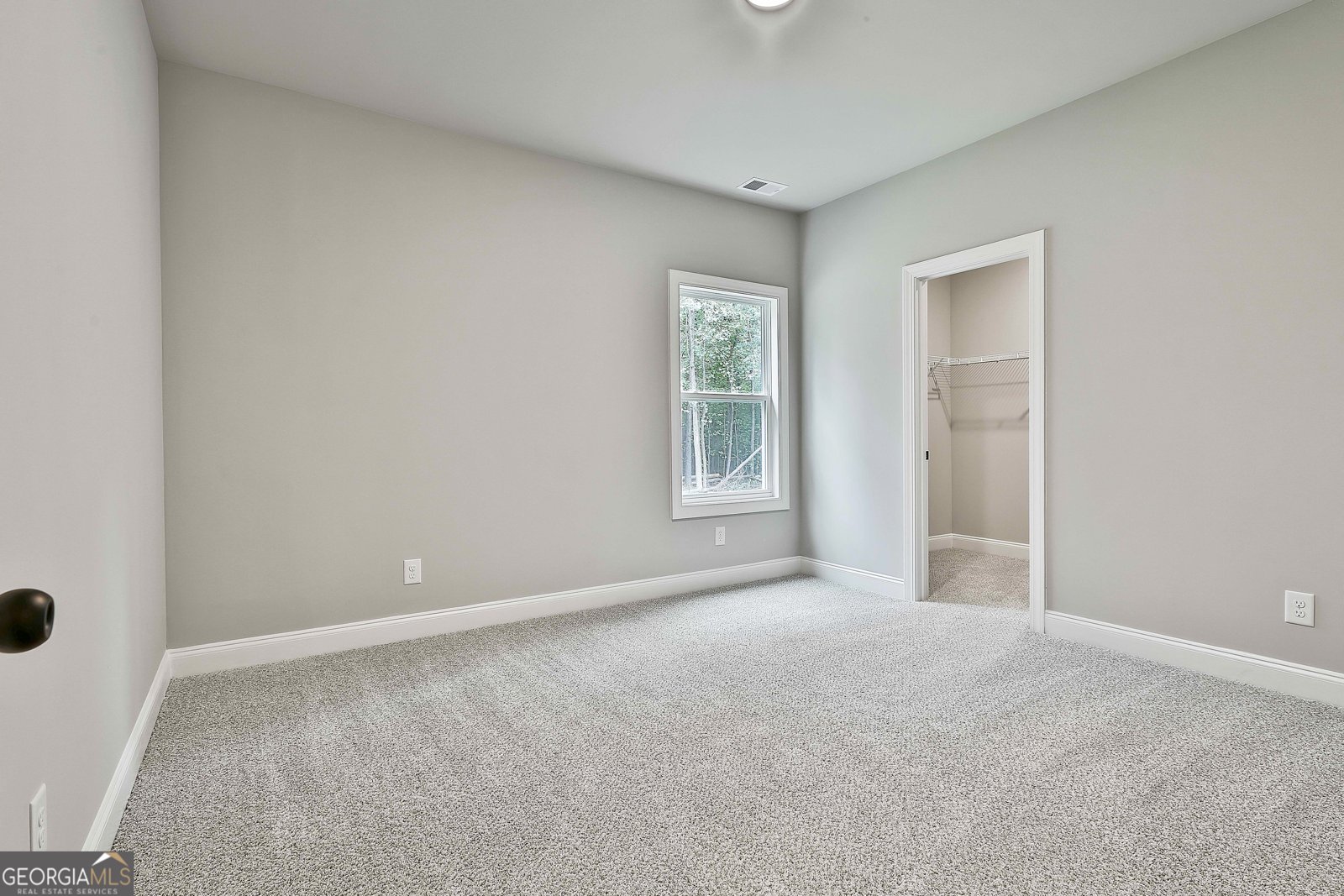 439 Lamar Smith Drive Newnan - 29