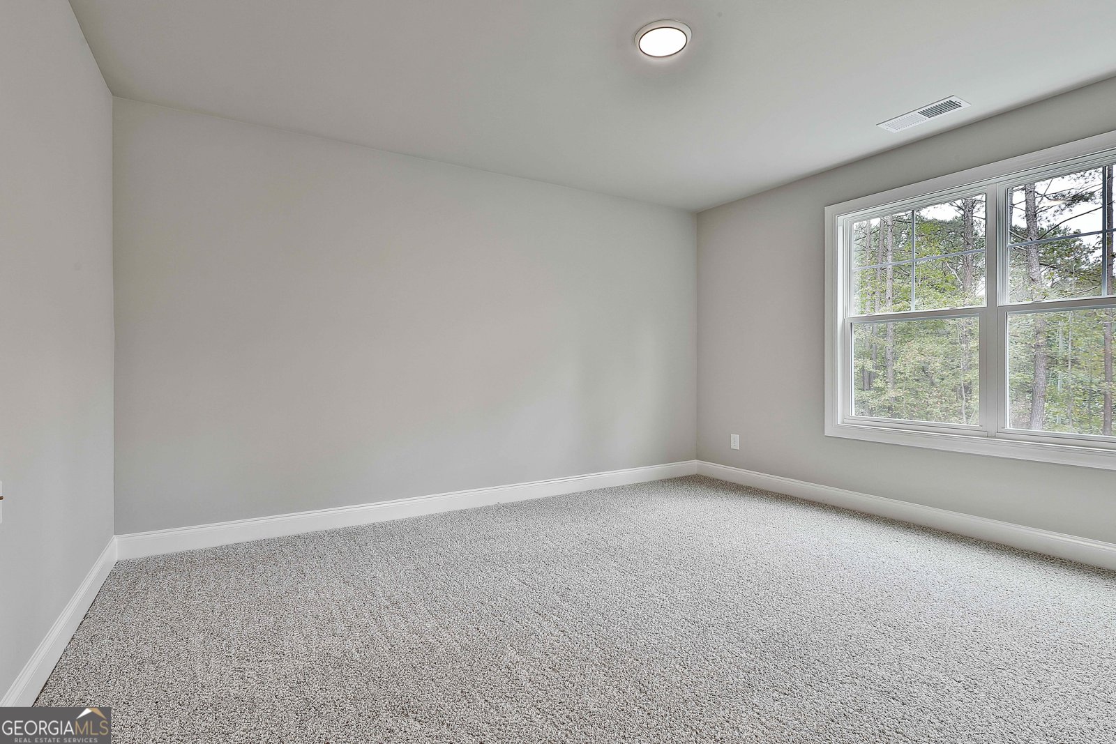 439 Lamar Smith Drive Newnan - 35