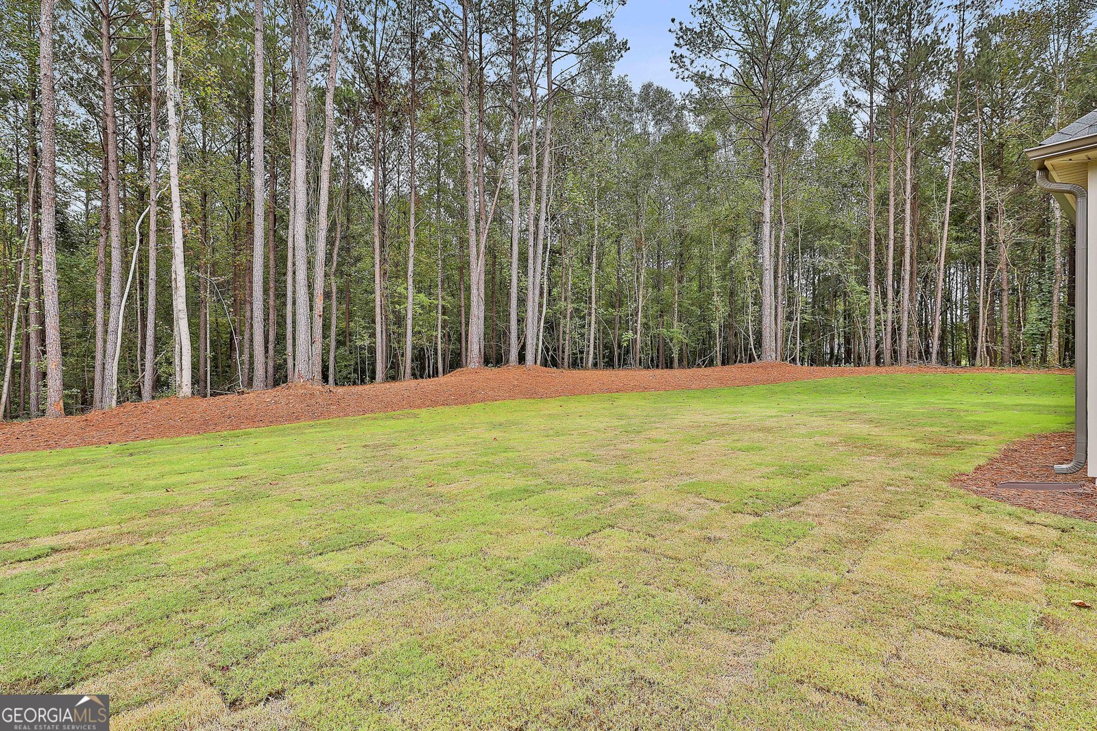 439 Lamar Smith Drive Newnan - 40