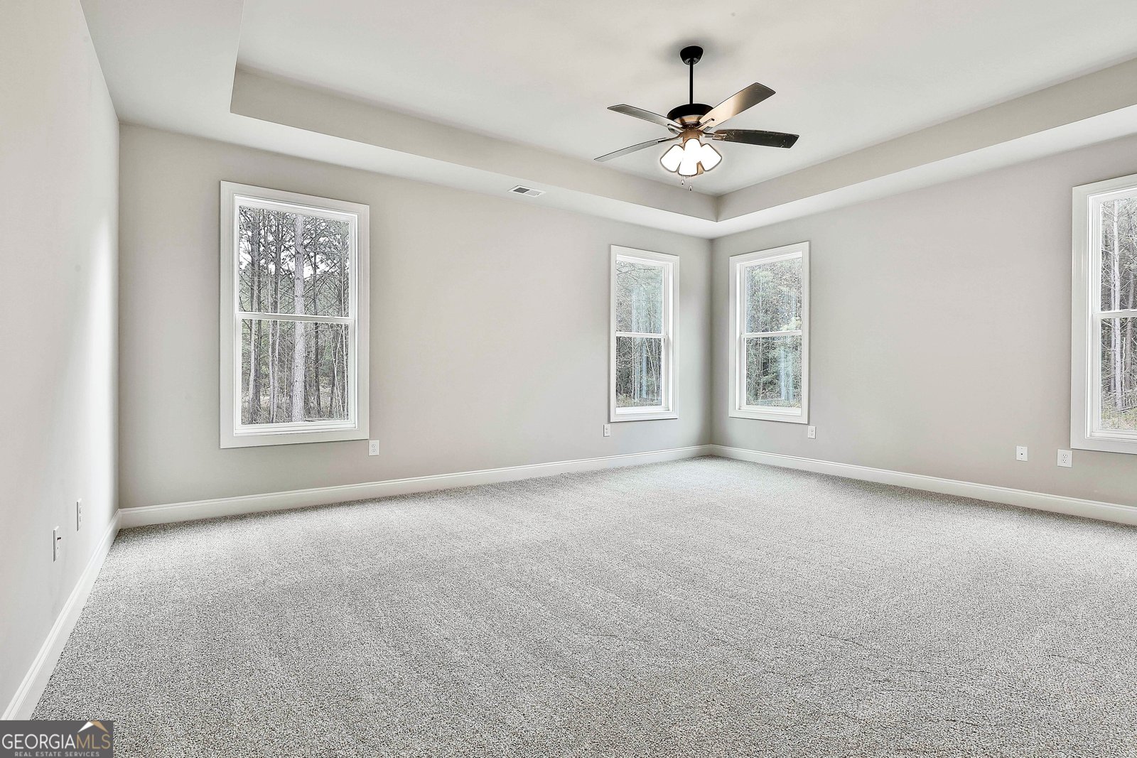 743 Alex Stephens Road Moreland - 27