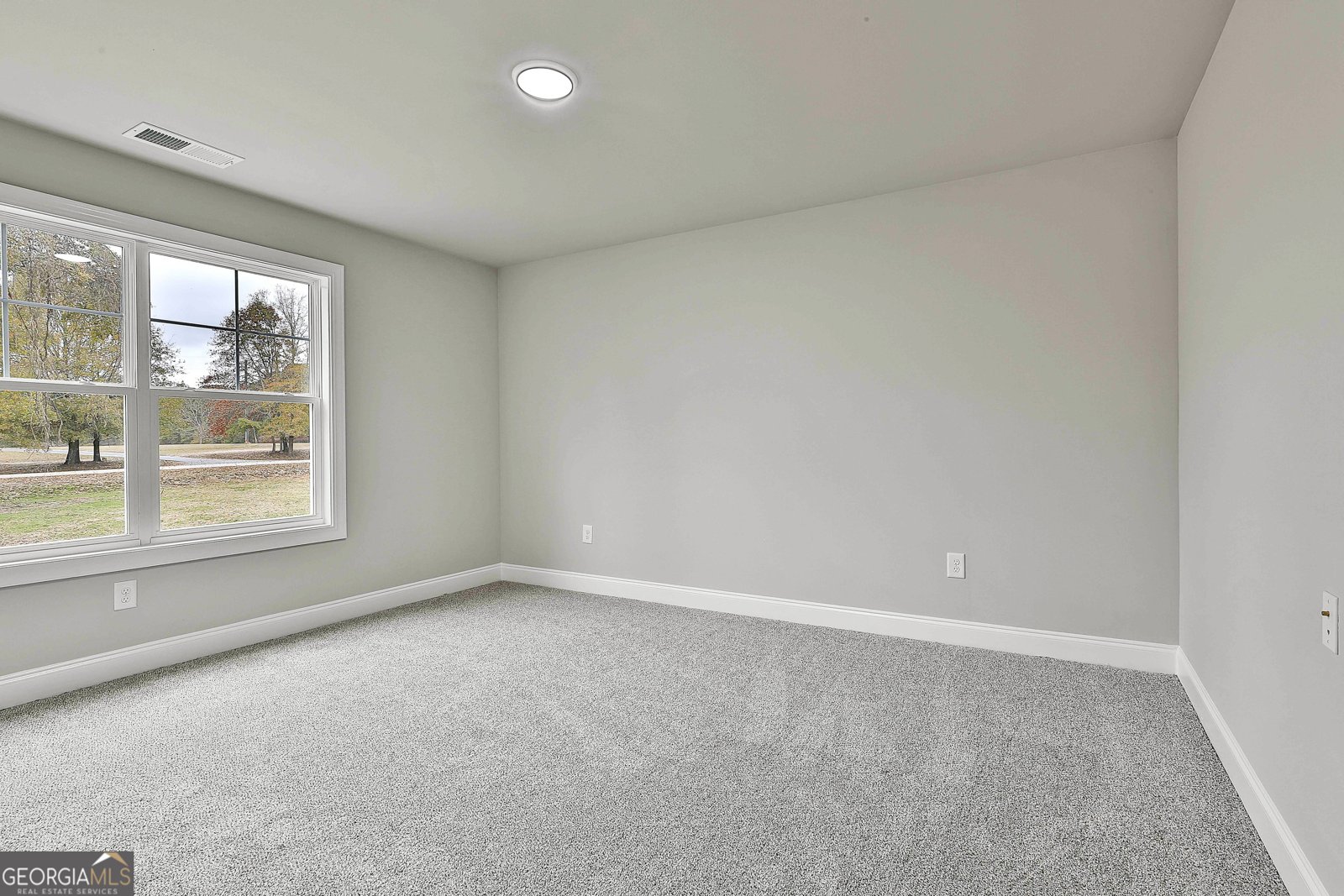 743 Alex Stephens Road Moreland - 38