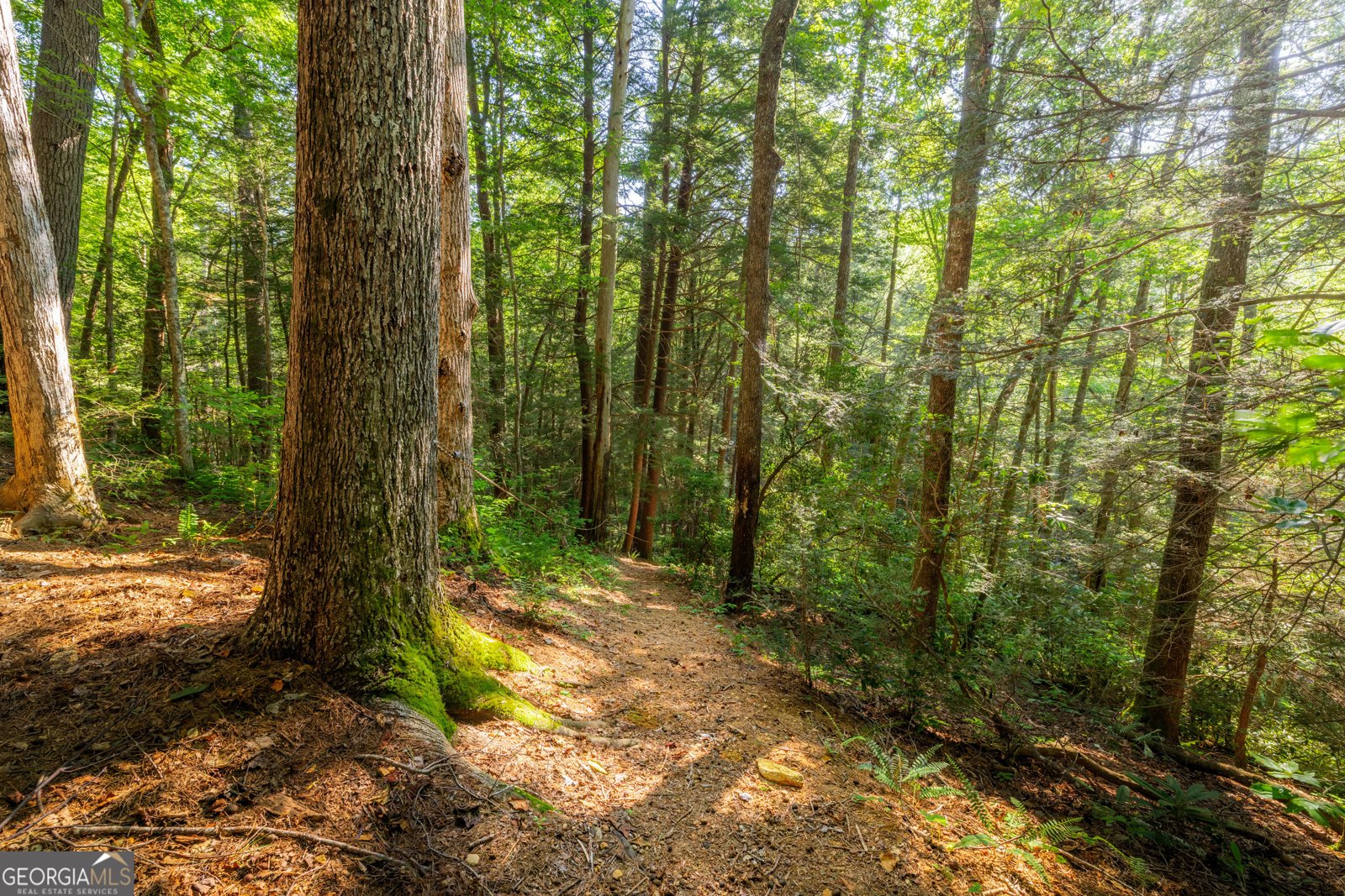 76 Creekside Road Ellijay - 22