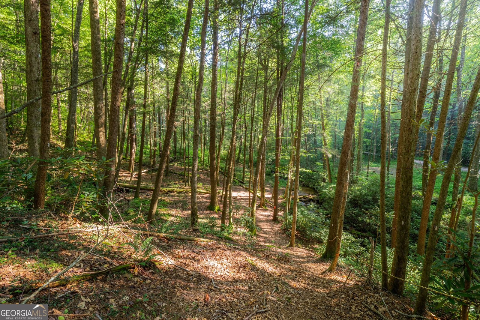 76 Creekside Road Ellijay - 23