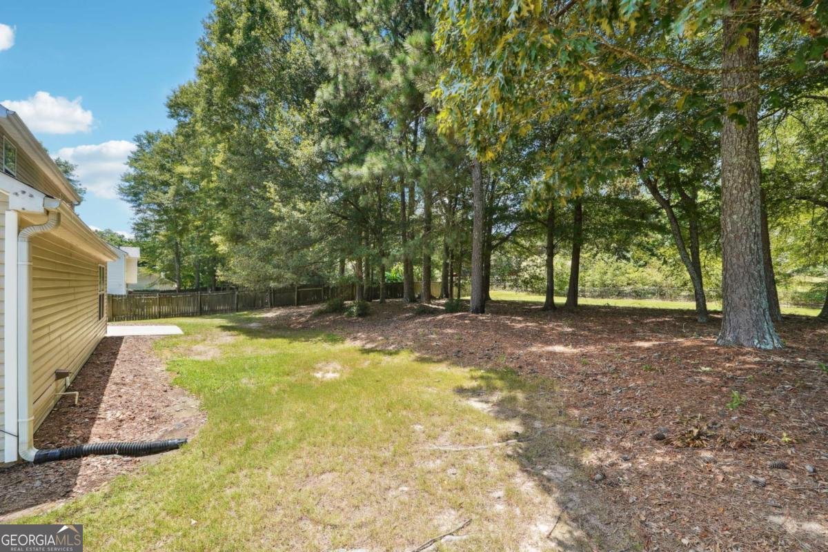 4255 Willow Springs Drive Loganville - 28