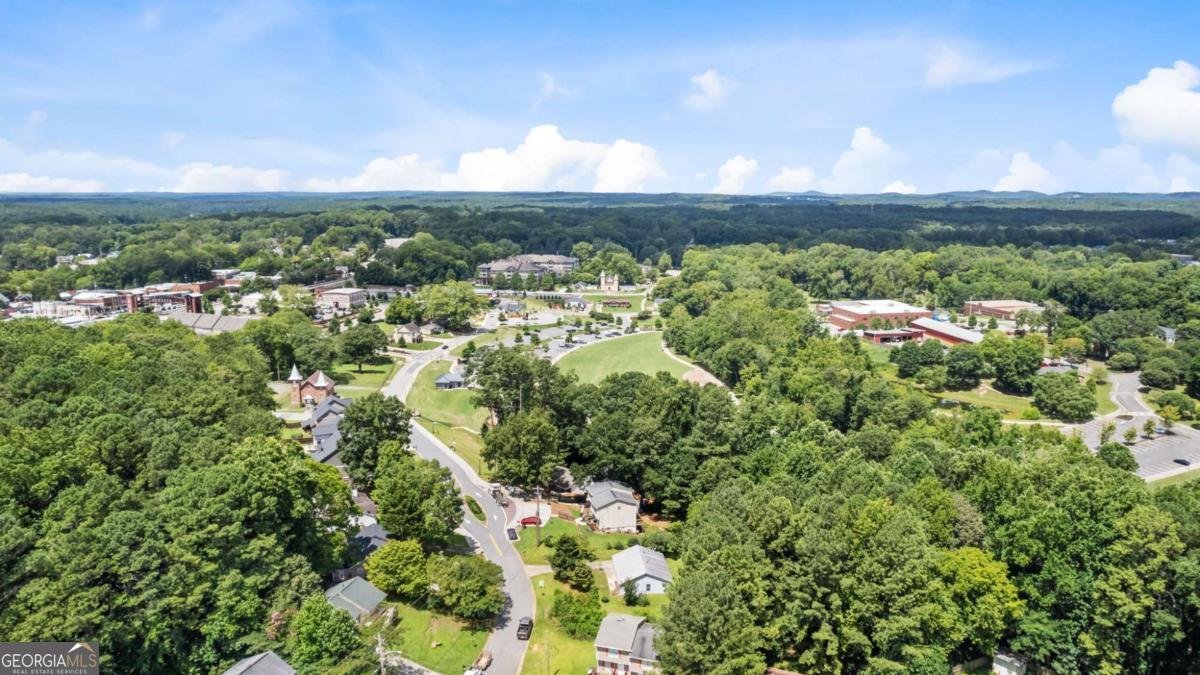 4368 Mitchell Hill Drive Acworth - 24
