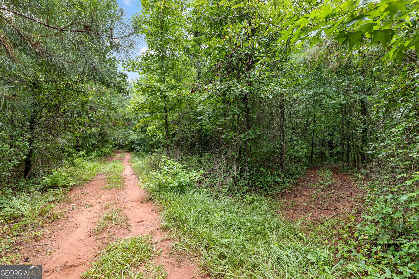 84 Maple Lane Williamson - 58