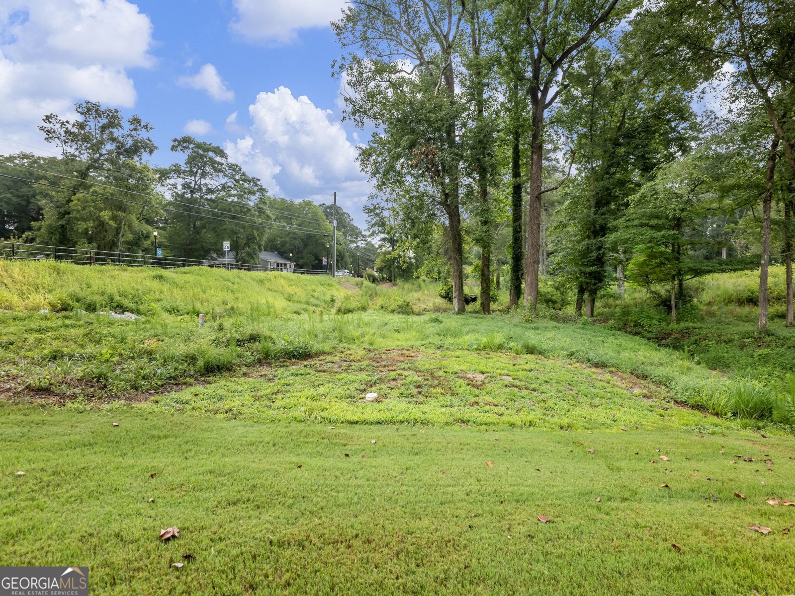 9661 Davis Street Braselton - 3