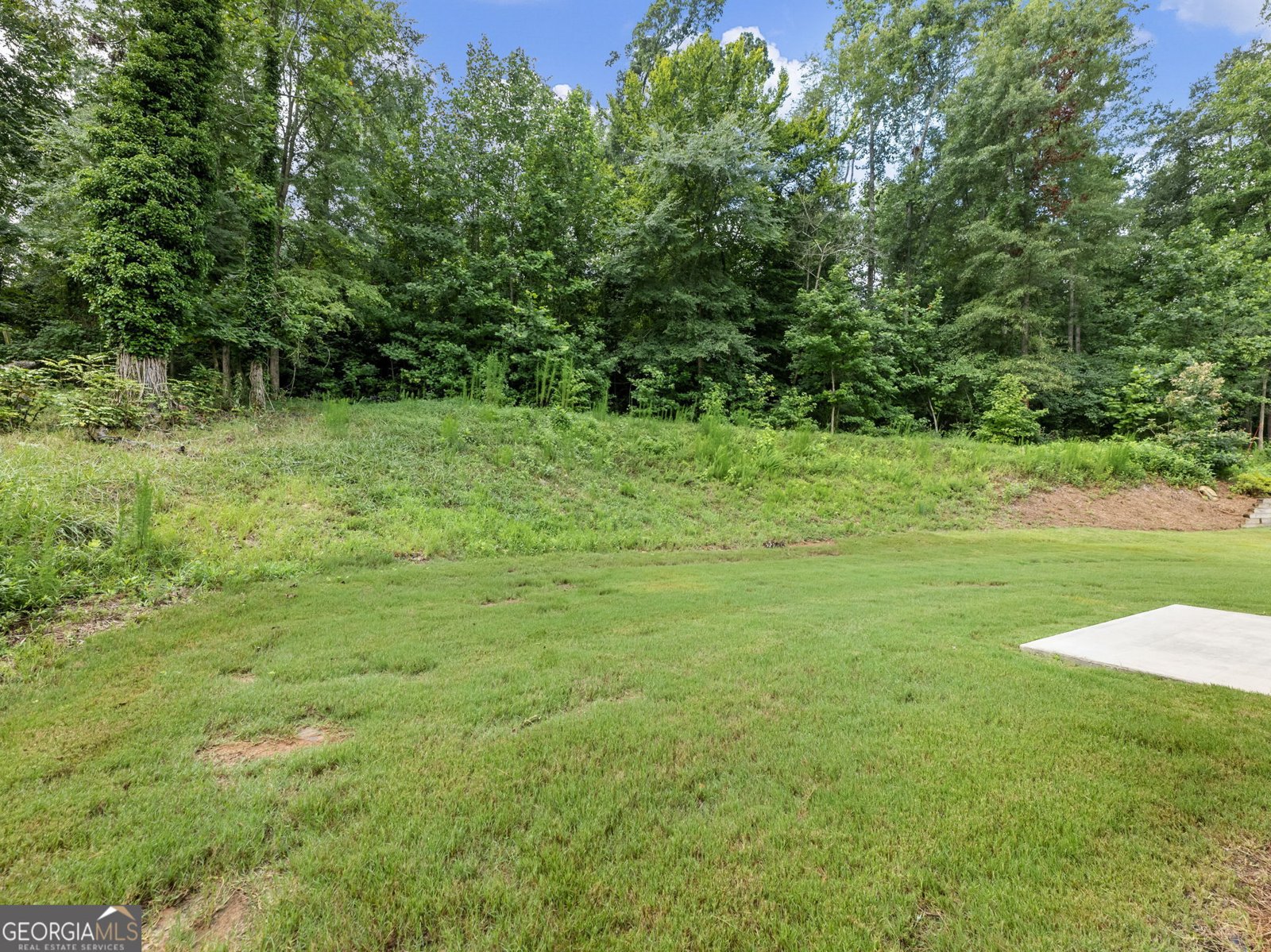 9661 Davis Street Braselton - 47