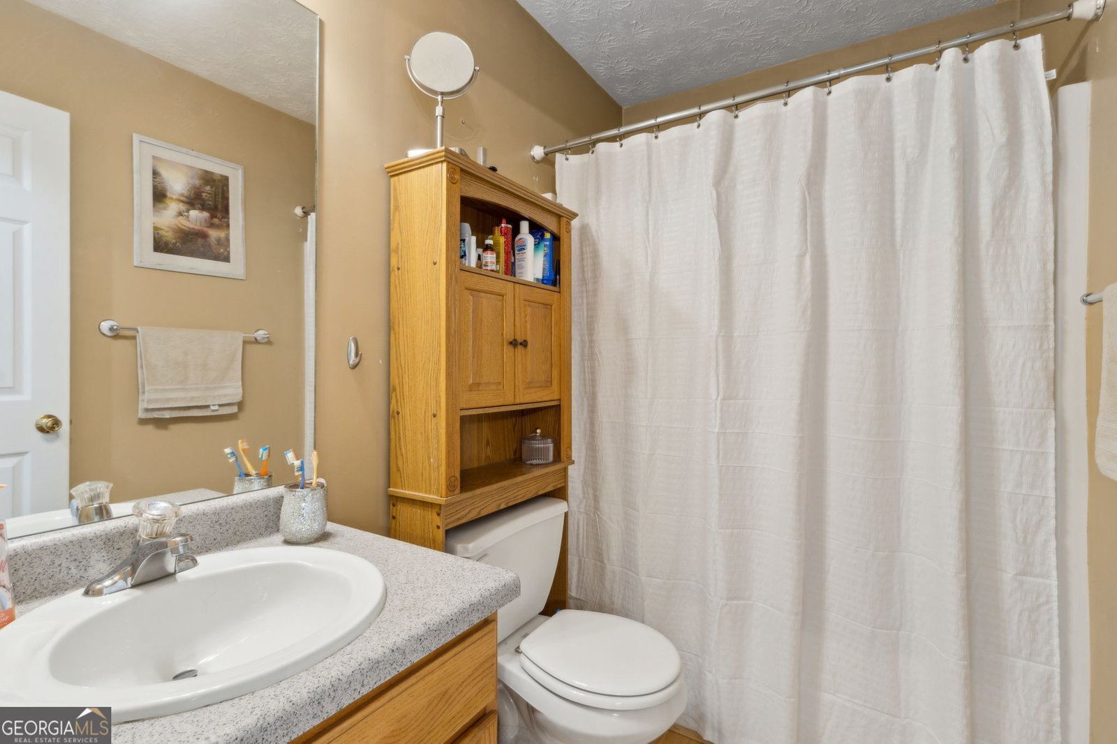 436 Shenandoah Court Winder - 30