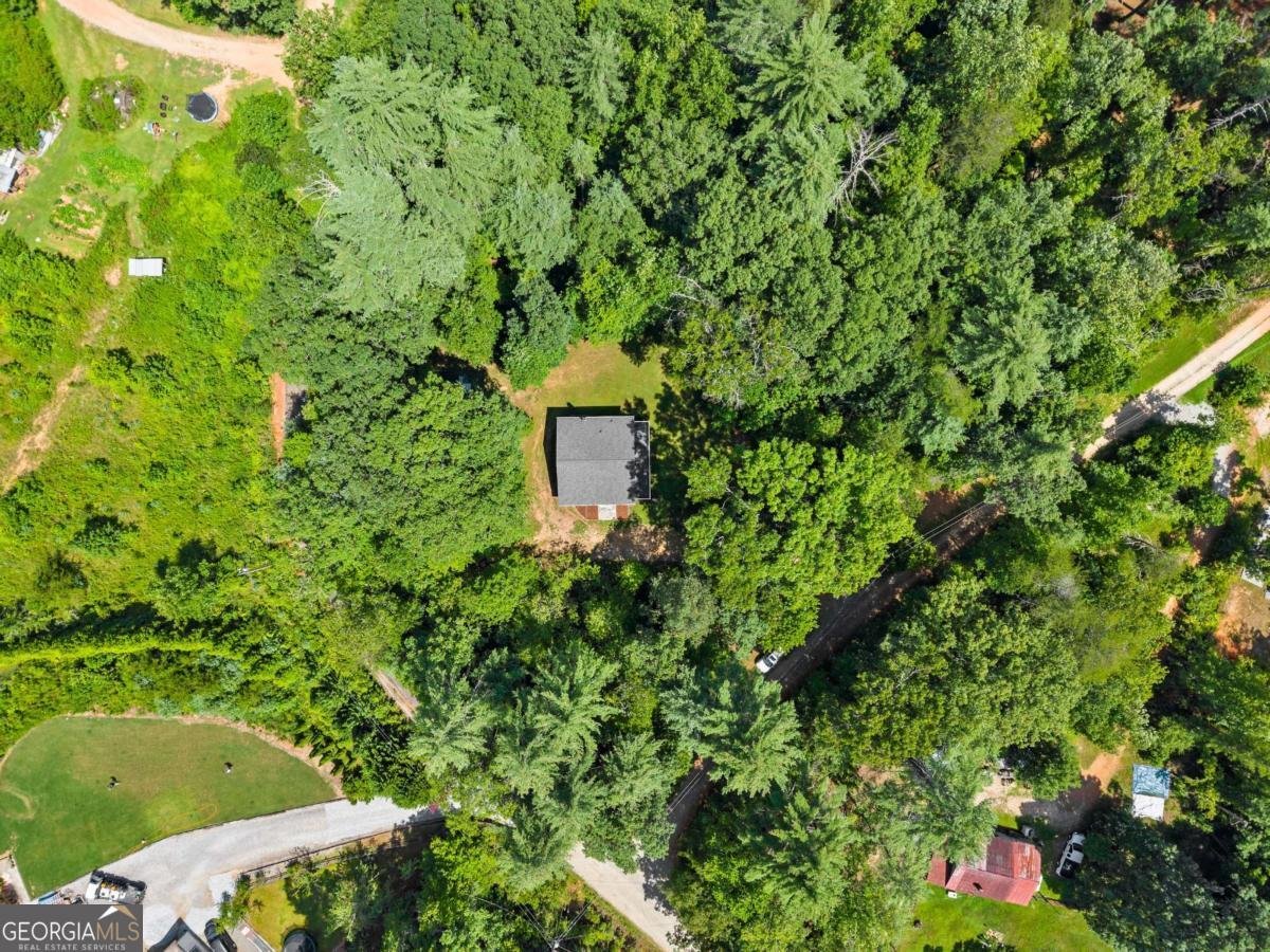 31 Pine Road Dahlonega - 41