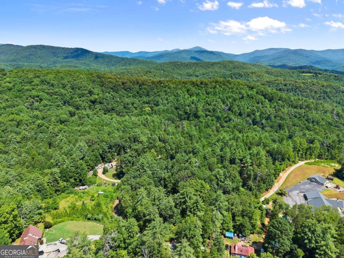 31 Pine Road Dahlonega - 42