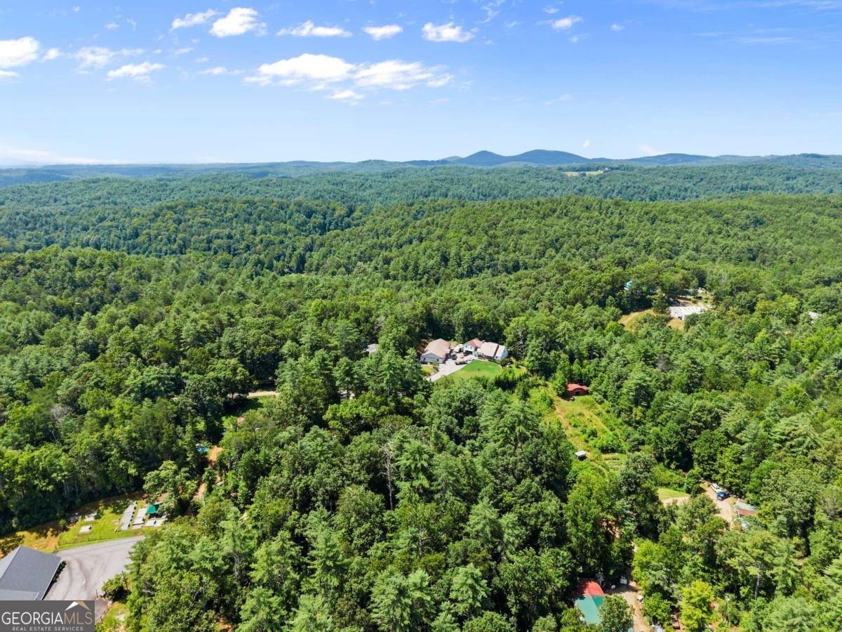 31 Pine Road Dahlonega - 43
