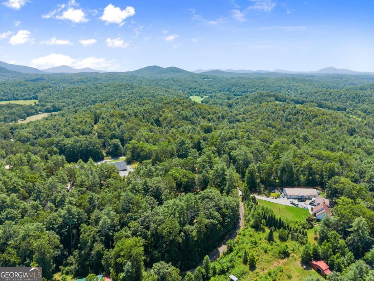 31 Pine Road Dahlonega - 44