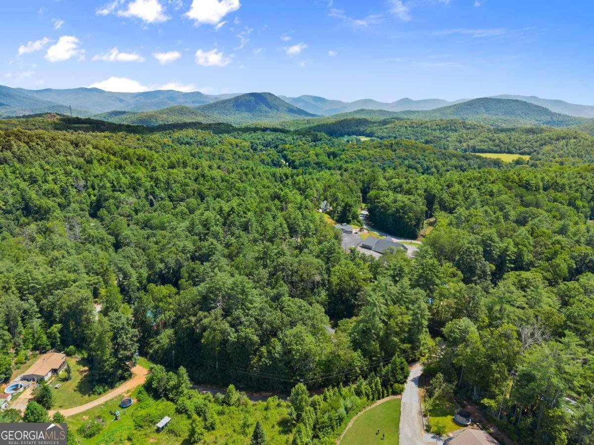 31 Pine Road Dahlonega - 45