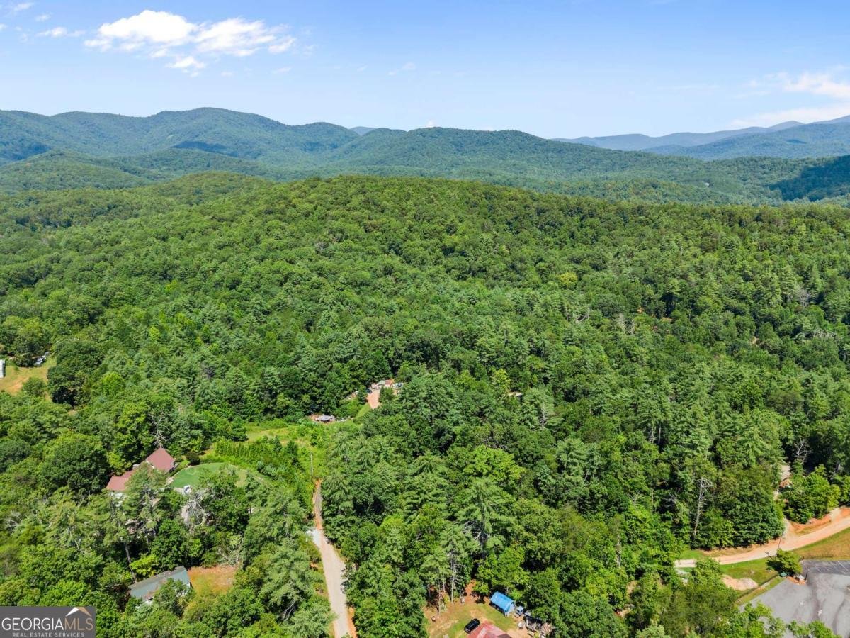 31 Pine Road Dahlonega - 46