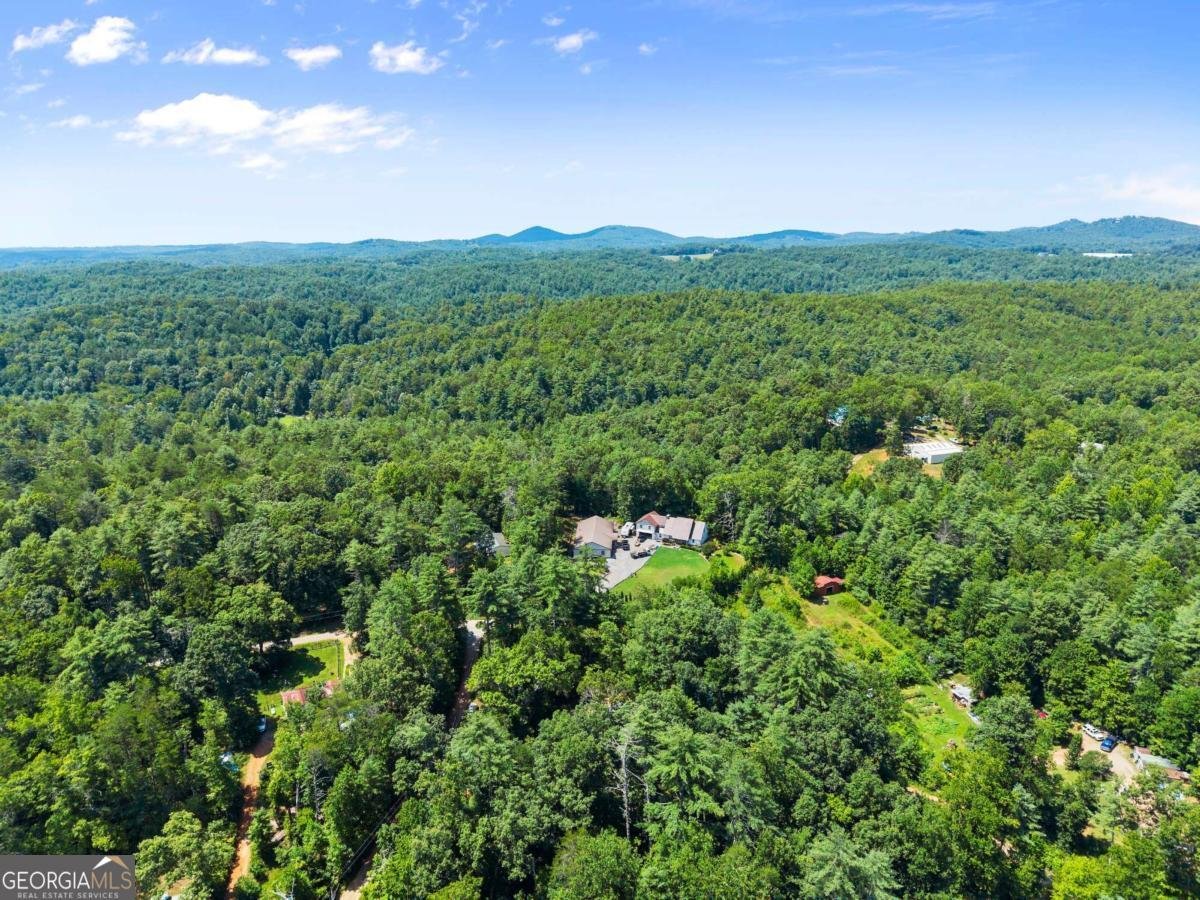 31 Pine Road Dahlonega - 47