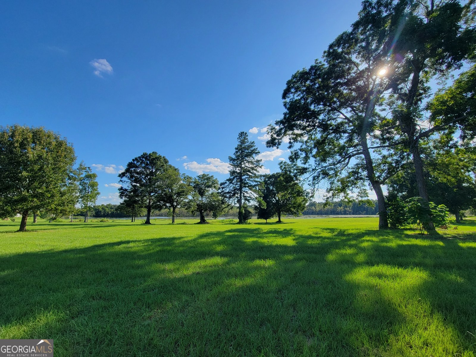 2461 Windemere Drive Statesboro - 15