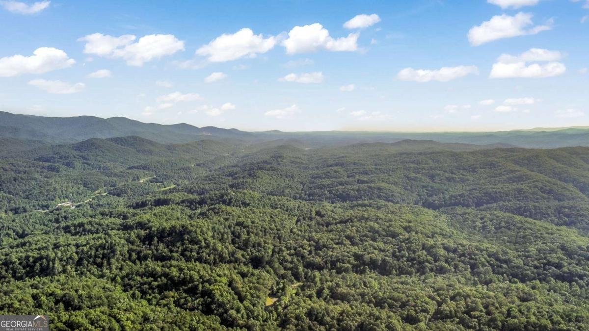 79 Dream Catcher Blue Ridge - 16
