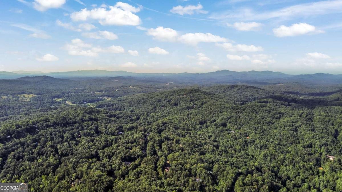 79 Dream Catcher Blue Ridge - 17