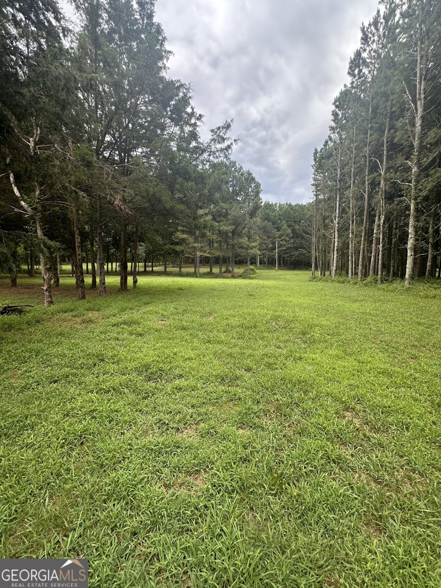 2023 Stephens Road Elberton - 7