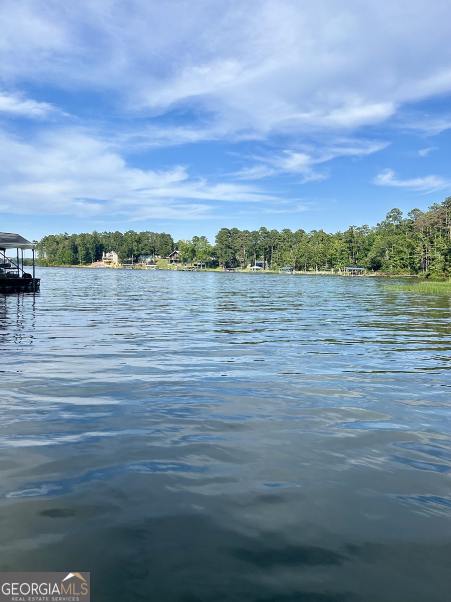 771 Calhoun Drive Abbeville - 2