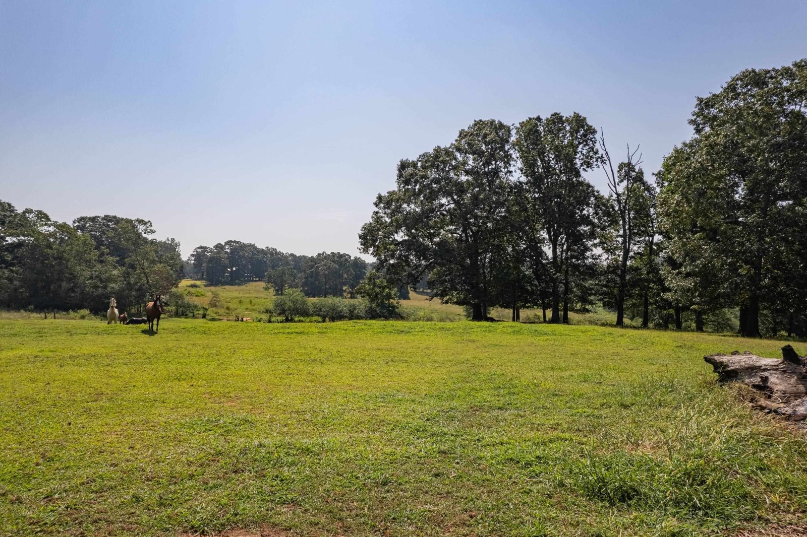 4822 Hwy 115 Clarkesville - 18
