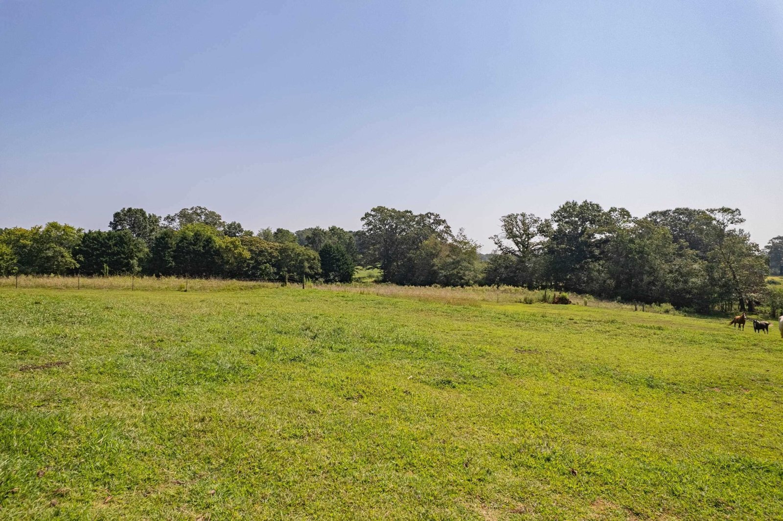 4822 Hwy 115 Clarkesville - 19