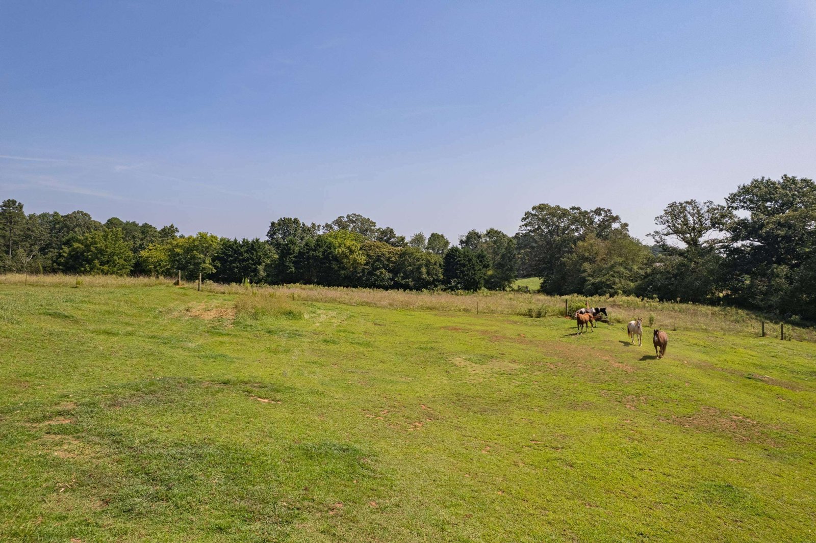 4822 Hwy 115 Clarkesville - 22