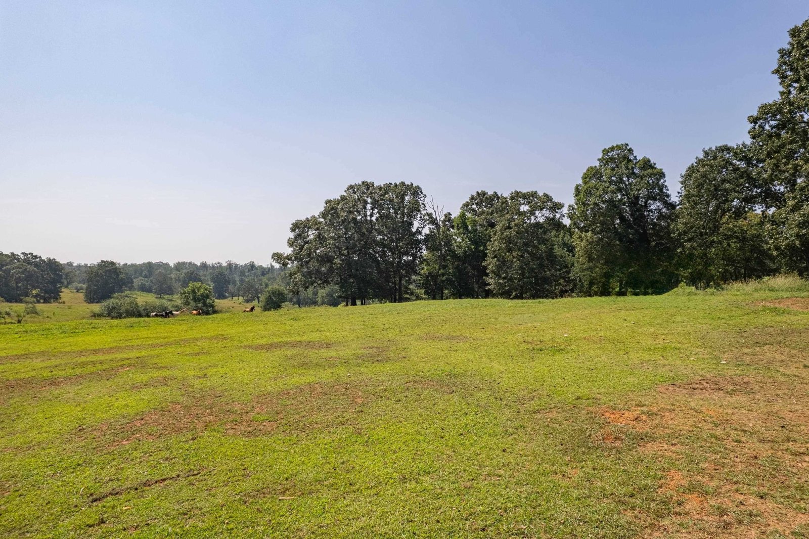4822 Hwy 115 Clarkesville - 26