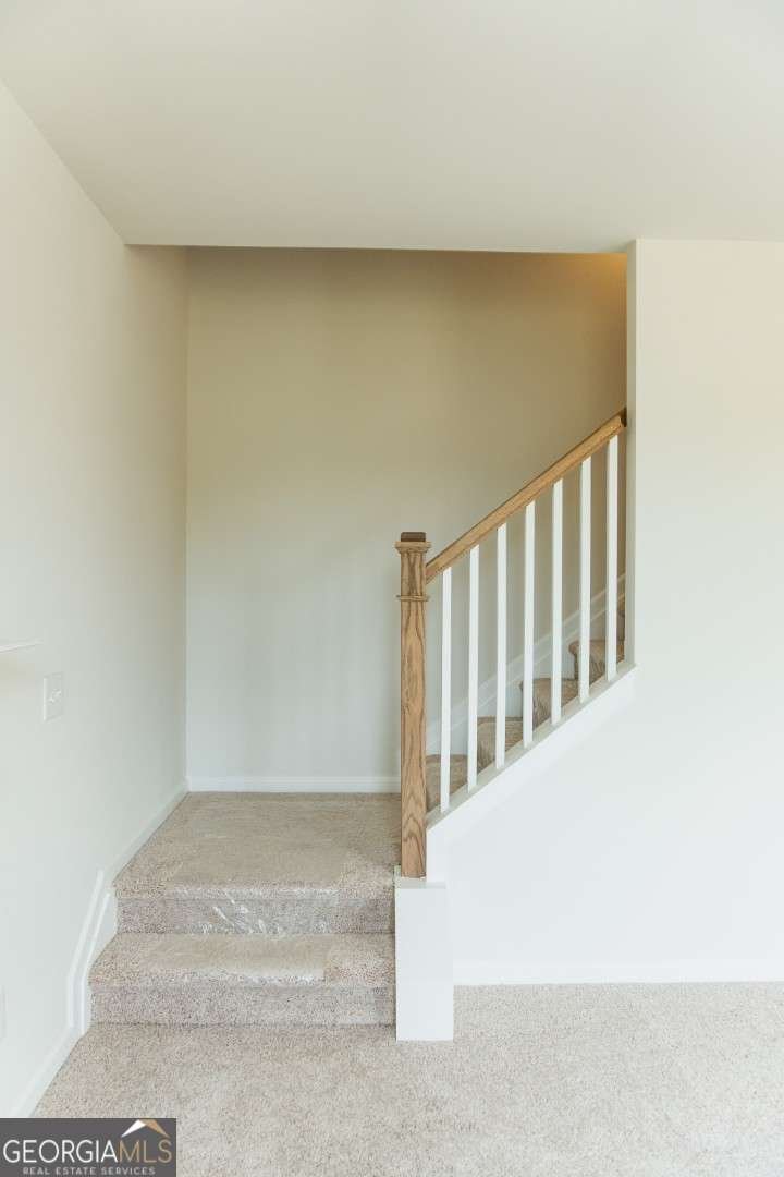 209 Bloomfield Circle Canton - 8