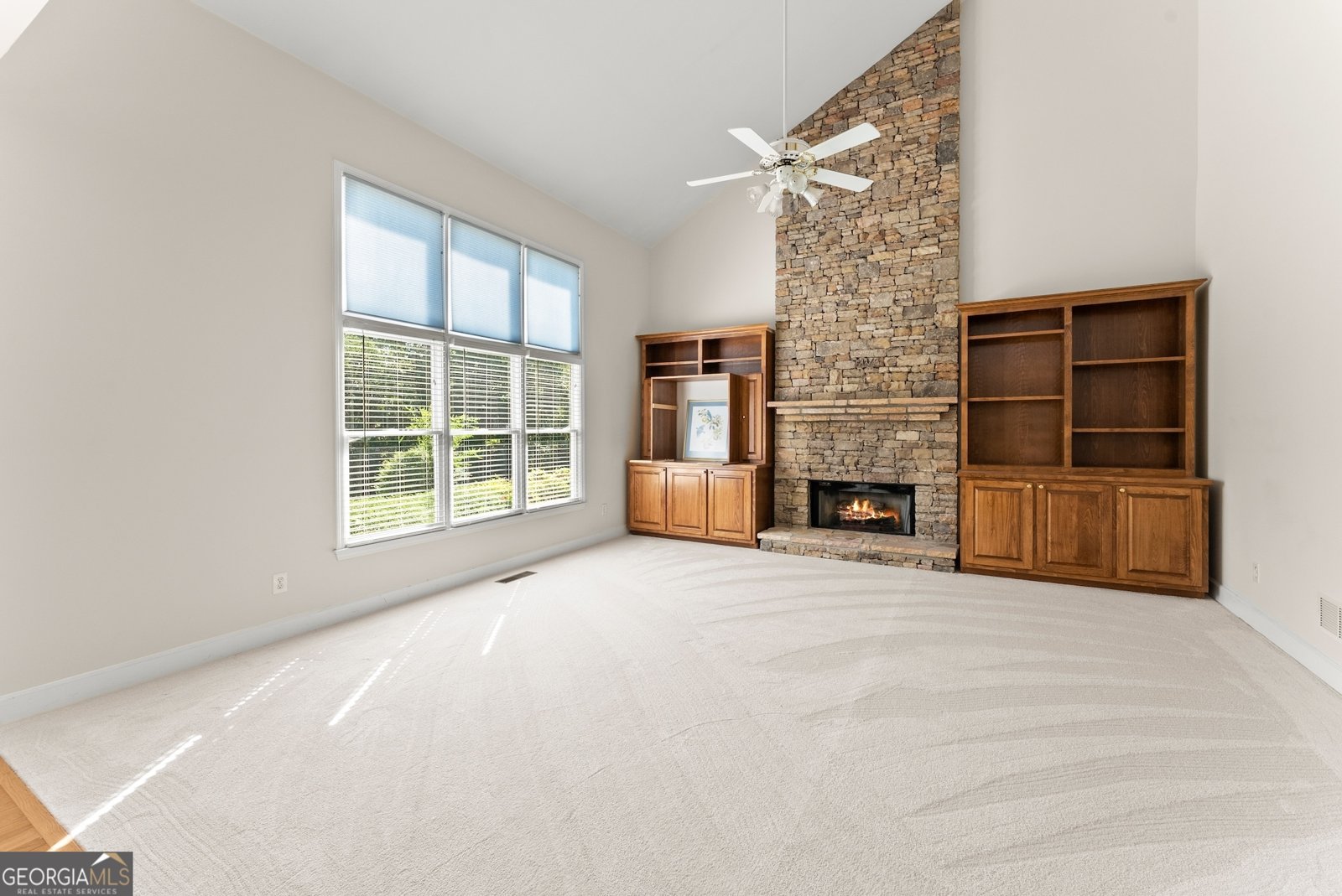 298 Sky Mountain Lane Canton - 12