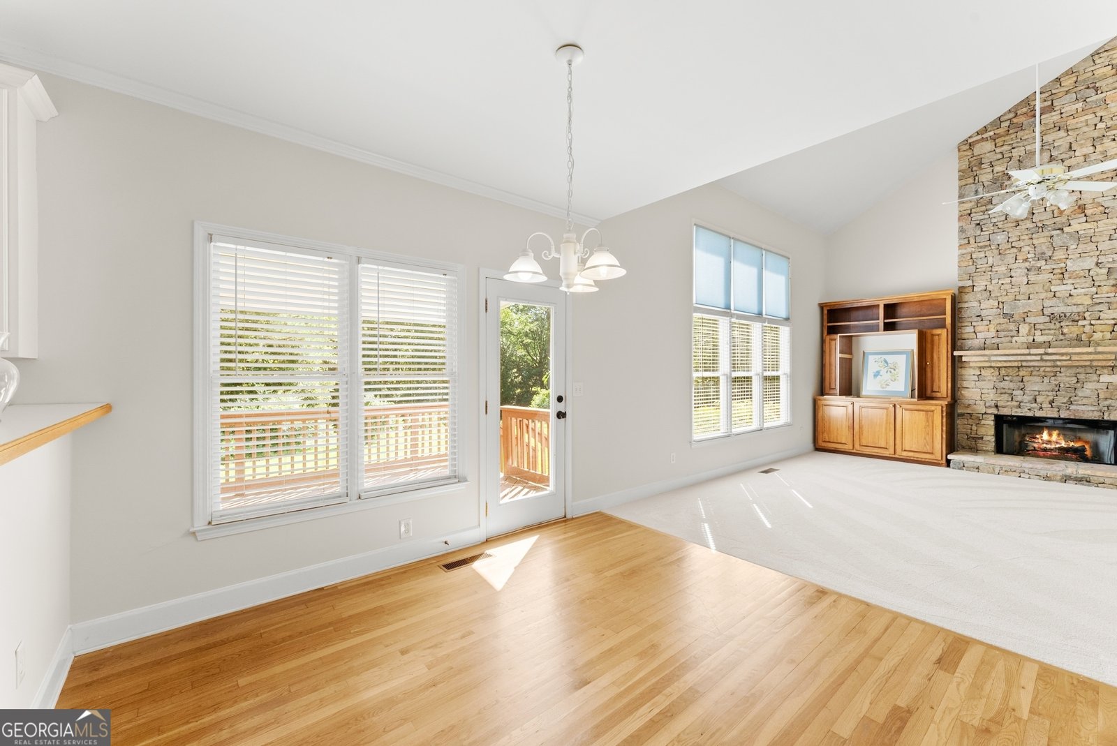 298 Sky Mountain Lane Canton - 16