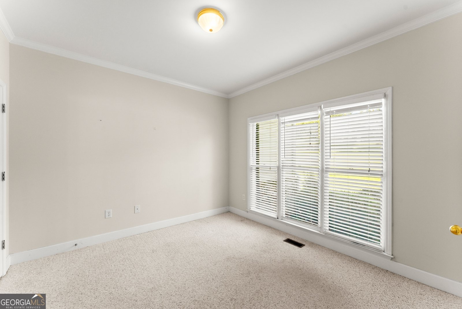 298 Sky Mountain Lane Canton - 19