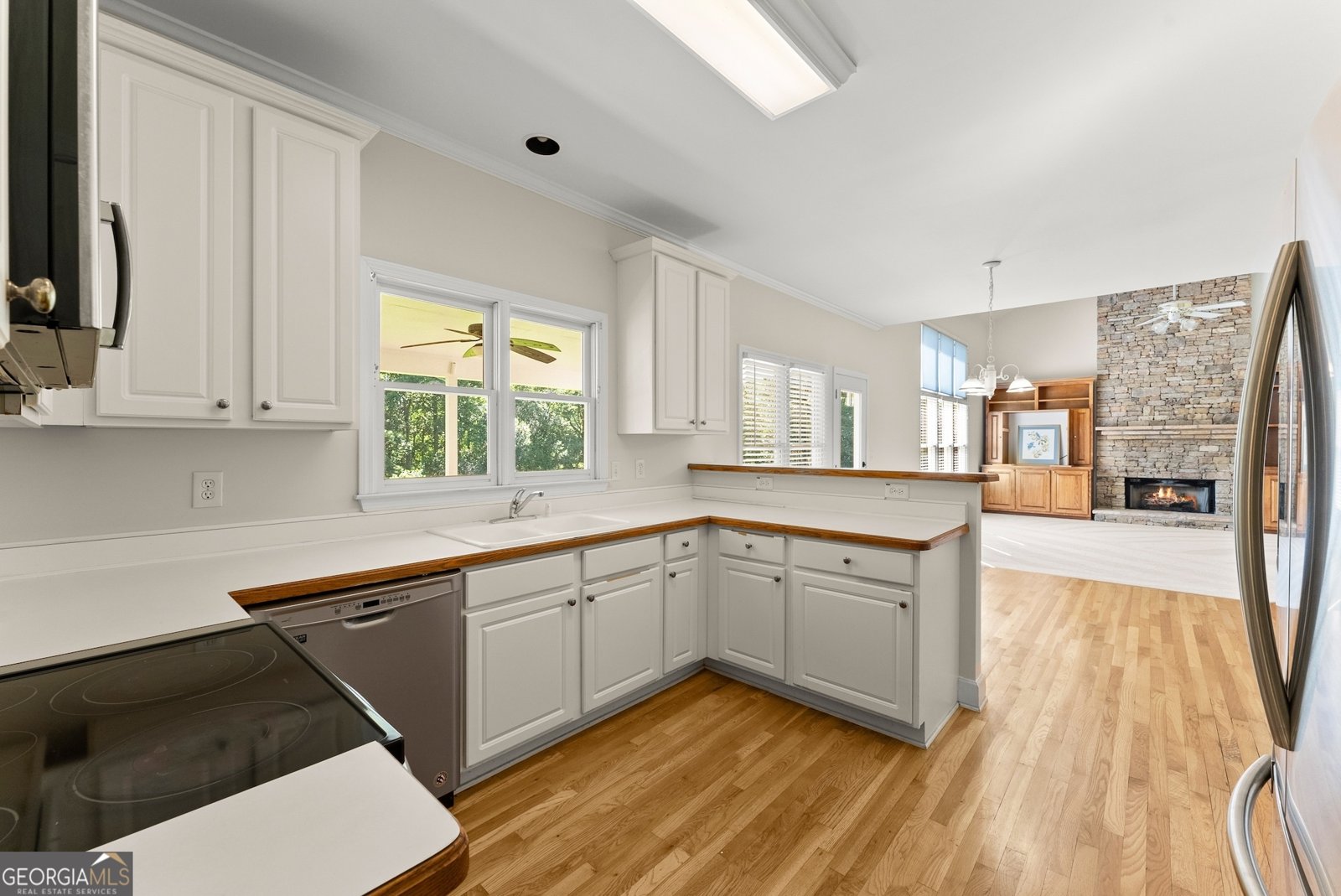 298 Sky Mountain Lane Canton - 6