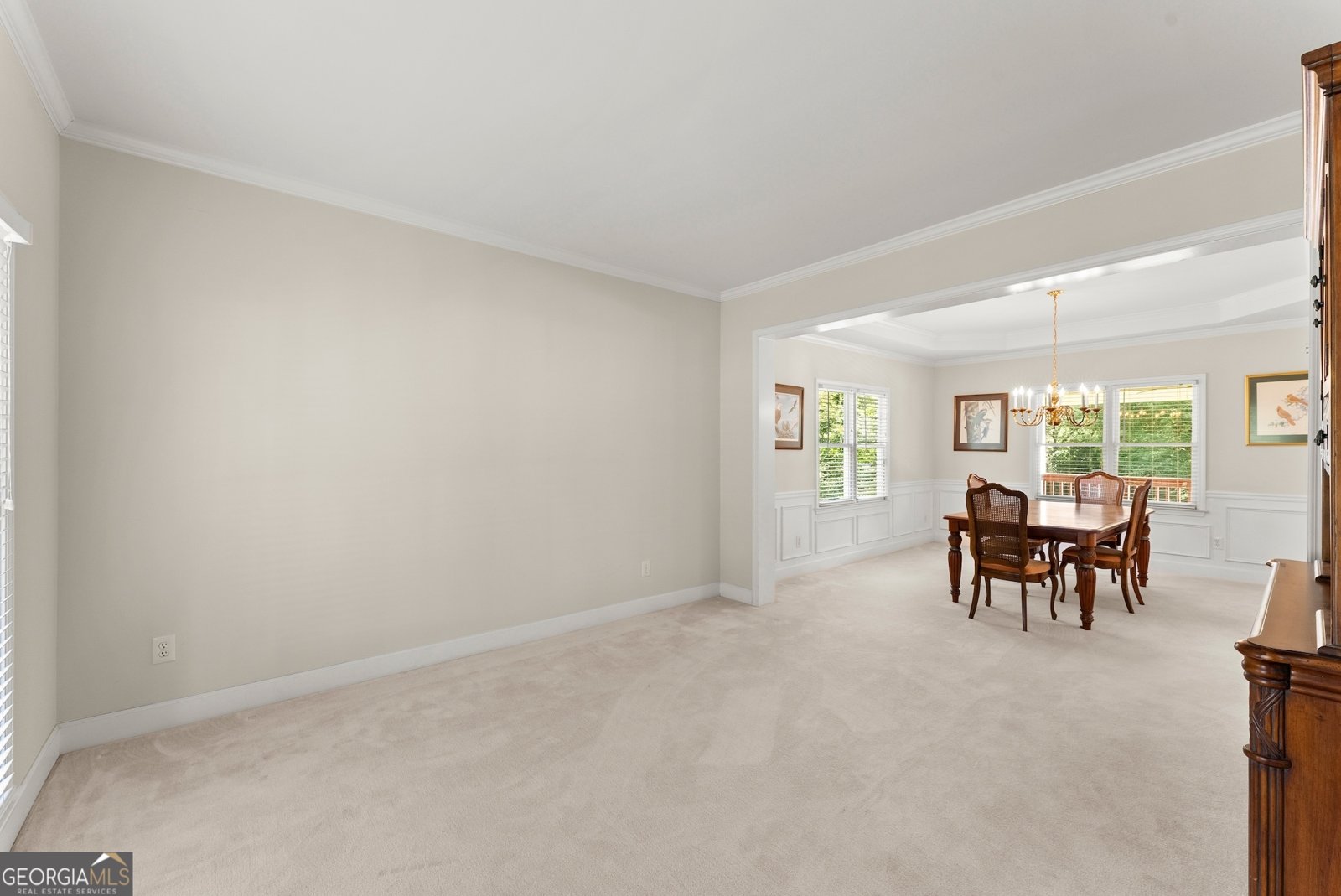 298 Sky Mountain Lane Canton - 9