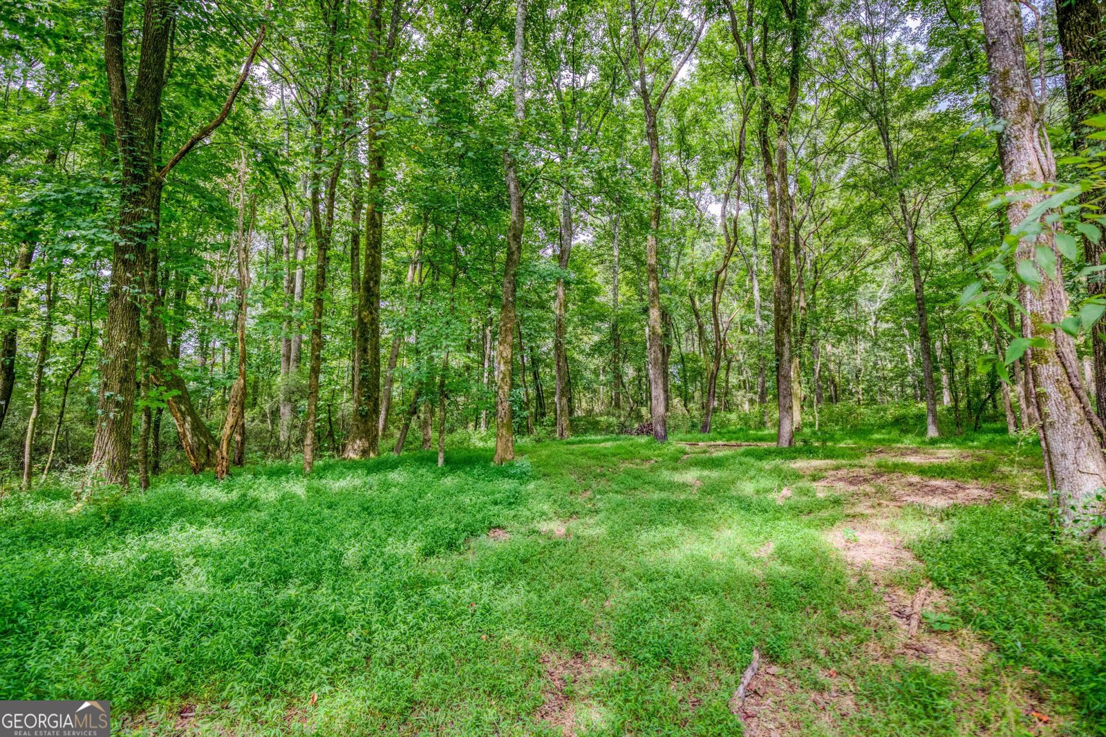 1471 Sikes Road Statham - 60