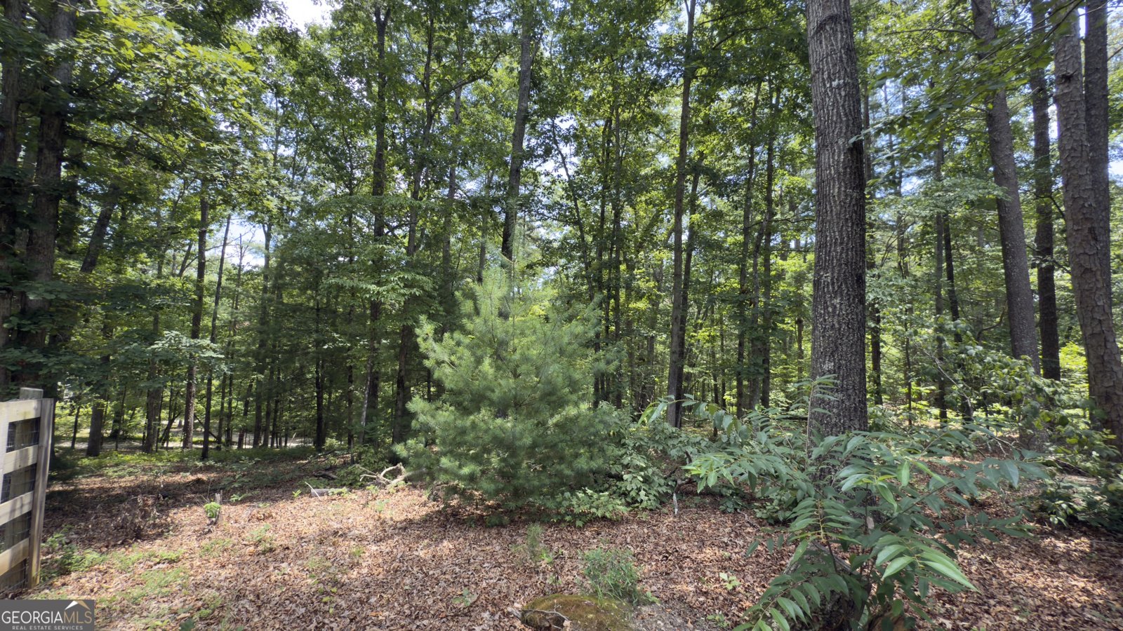 25 Pepperridge Drive Sautee Nacoochee - 29