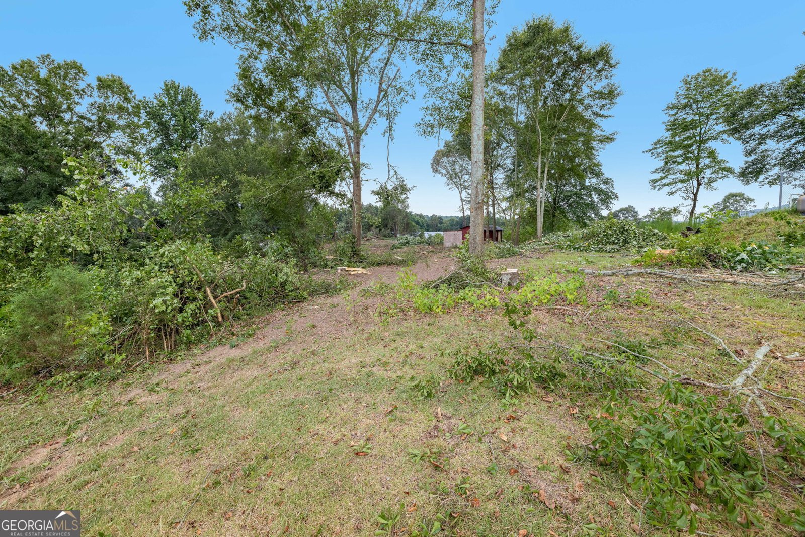 113 Wynn Wood Lane Alto - 11